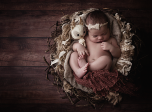 newborn photography, newborn photographer perth, baby photography, newborn picture, baby in nest